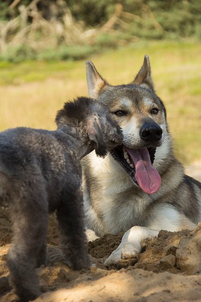 2014-07-17 Cherry & Friends - FliegerbergIMG_7977.jpg